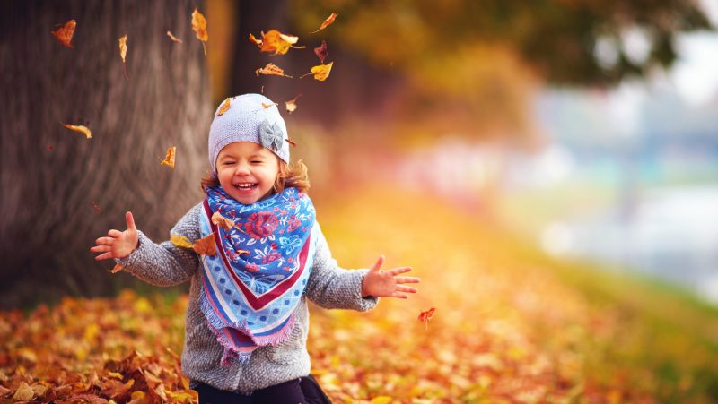 Autumn leaves